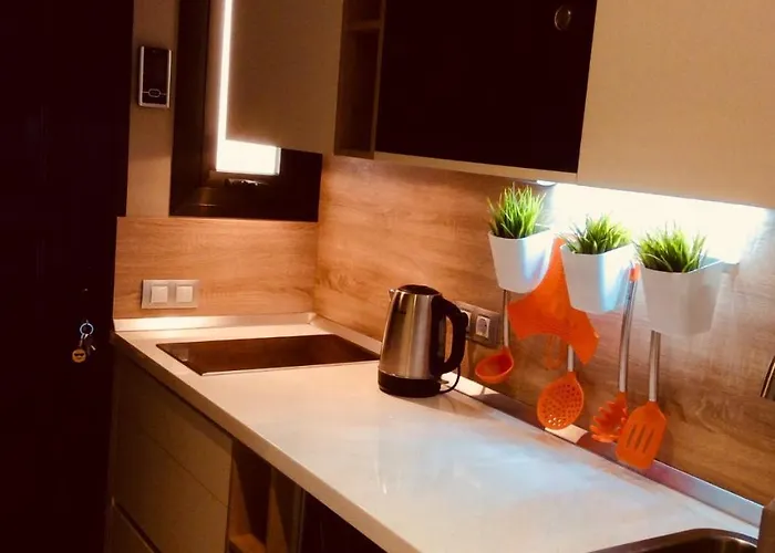 Torres Del Sol 公寓 美洲海滩